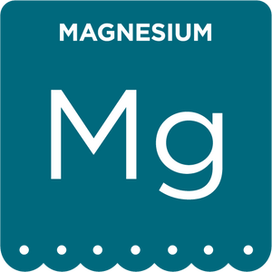 Contributes to energy production, muscle and nerve functions, bone health and blood pressure.